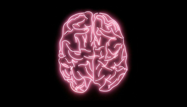 Всемирный день мозга