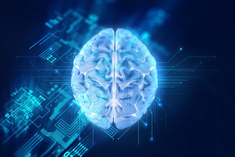 Смешной мозг