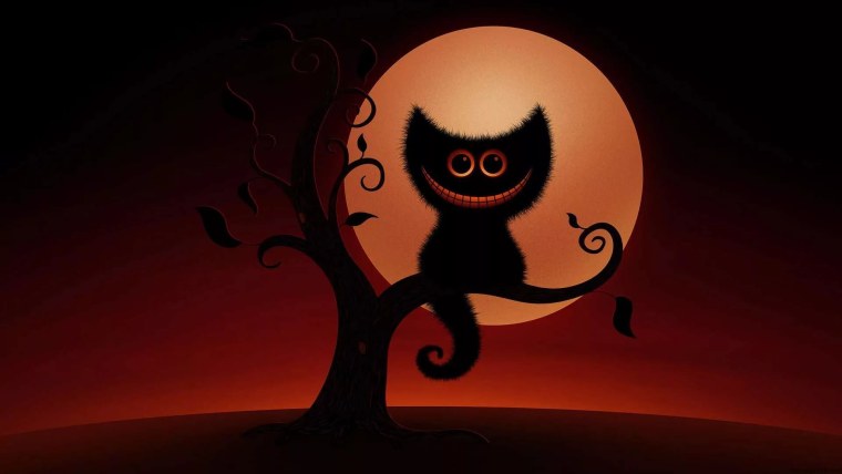 Прикольные заставки на аватарку