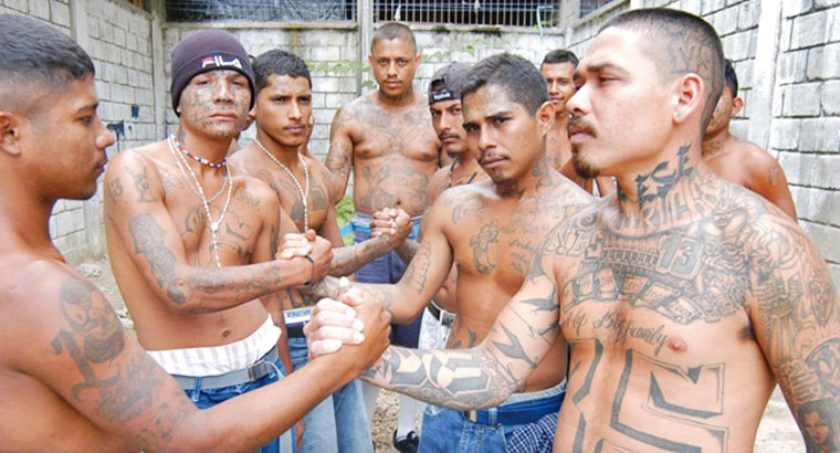 Мара Сальватруча фильм 2009