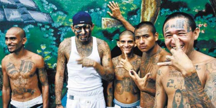 Мальва Сальватруча банда