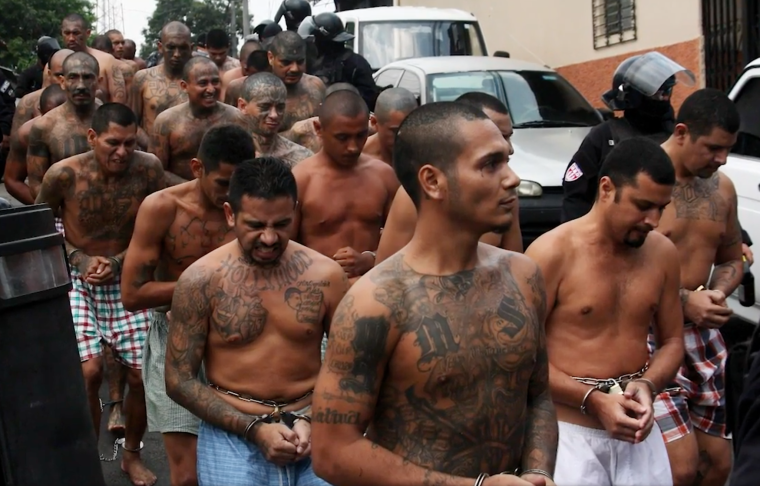 Мара Сальватруча 13 Картель