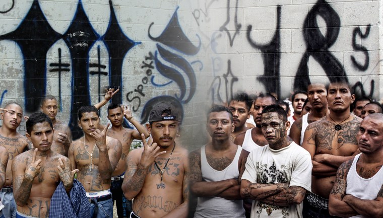 Банда картинки