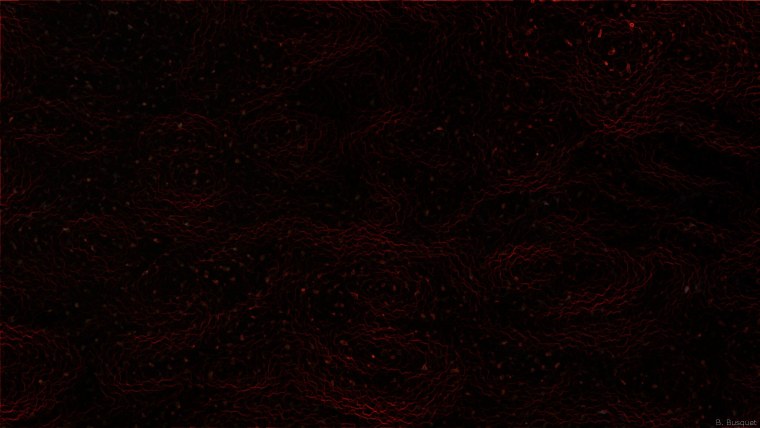 Цветы на бордовом фоне