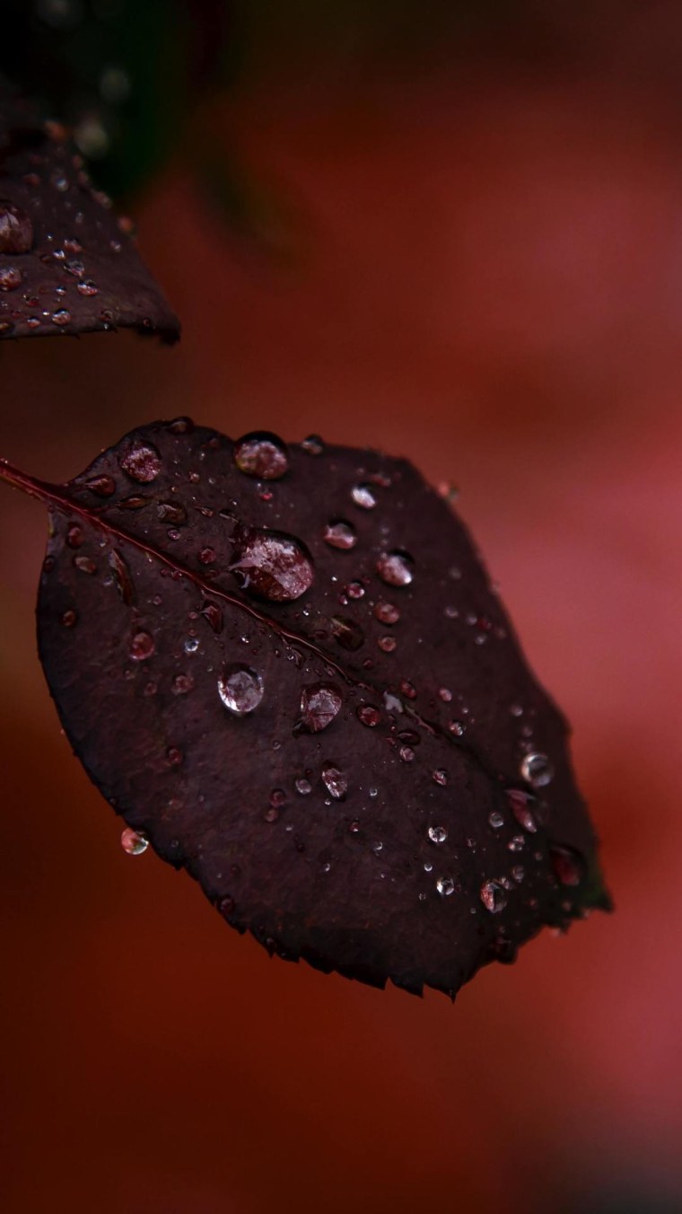 Hal9000 2001 Space Odyssey