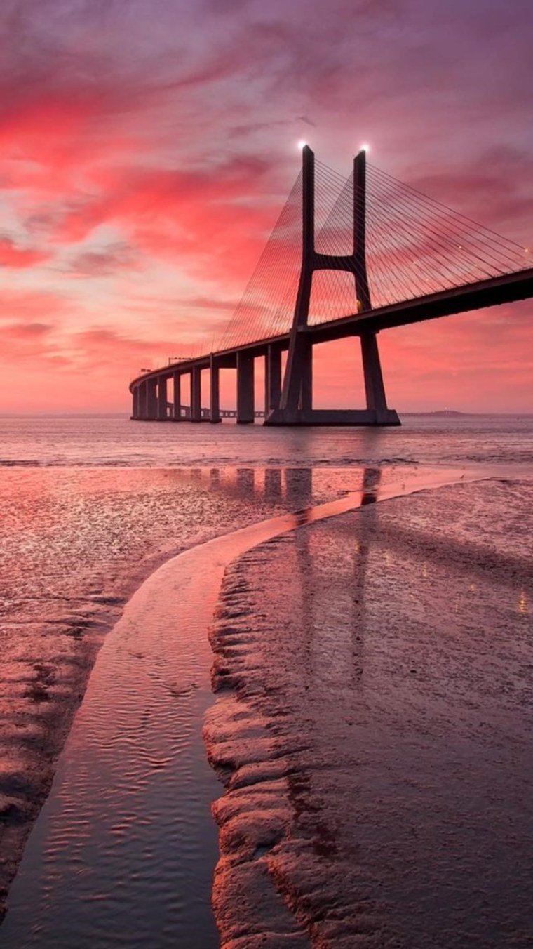 Пальмы море лодка