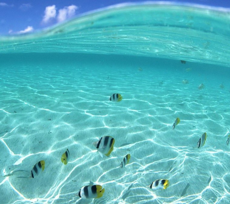 Красивые морские пейзажи