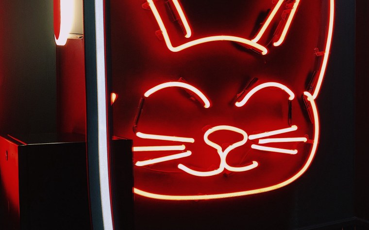 Неоновые надписи