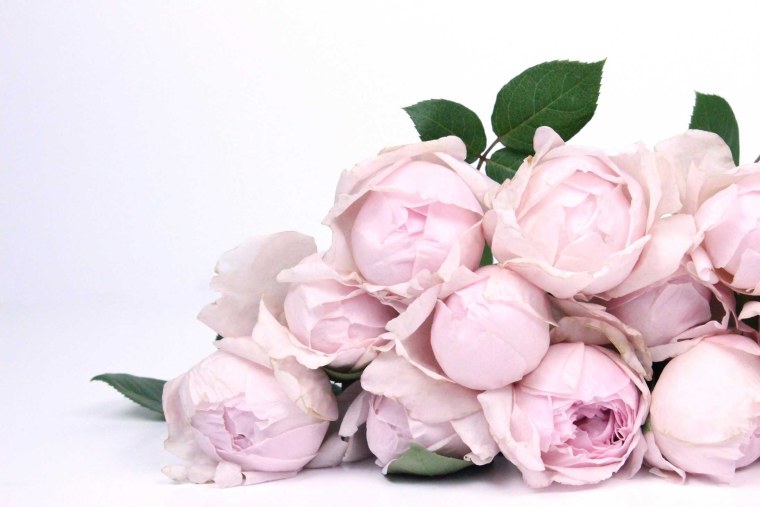 Пионовидные розы