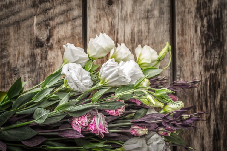 Ассаф Франк картины