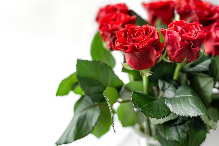 Красные розы на Светлом фоне
