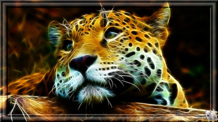 Компьютерная Графика животные