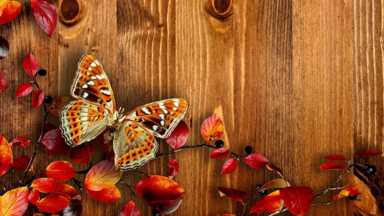 Красивый осенний фон на рабочий стол