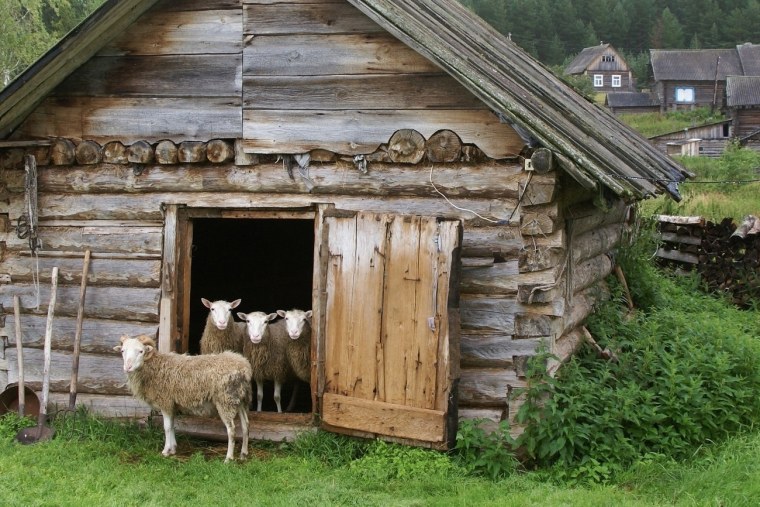 Сарай для животных