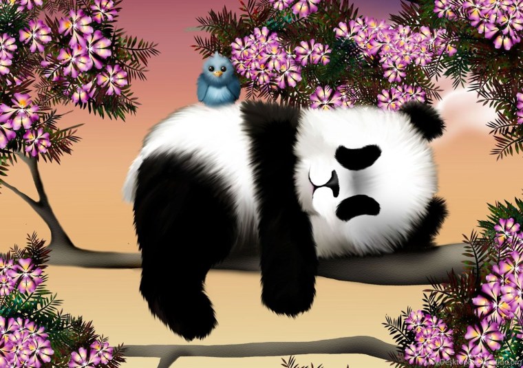 Панда обои