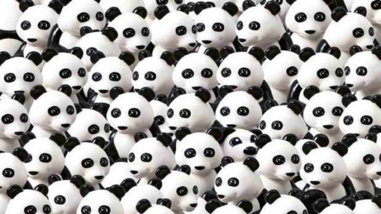 Панда в джунглях вектор