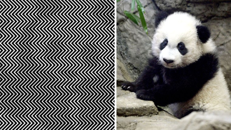 Фон для презентации Панда