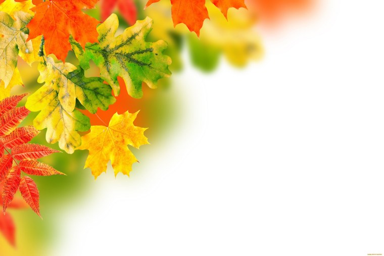 Осенний фон для фотошопа