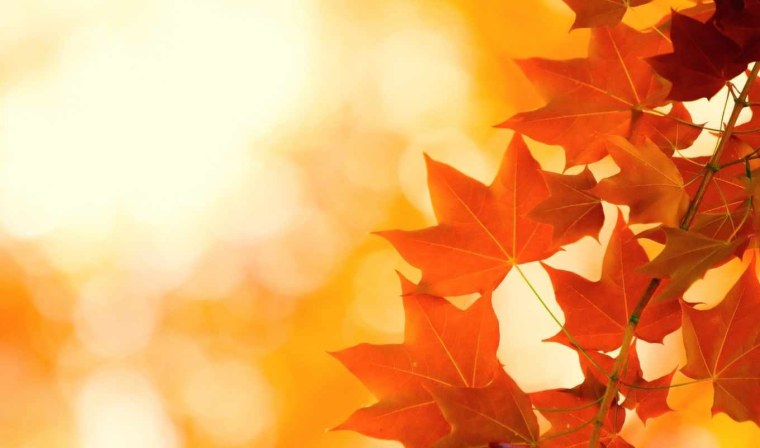 Осенний фон