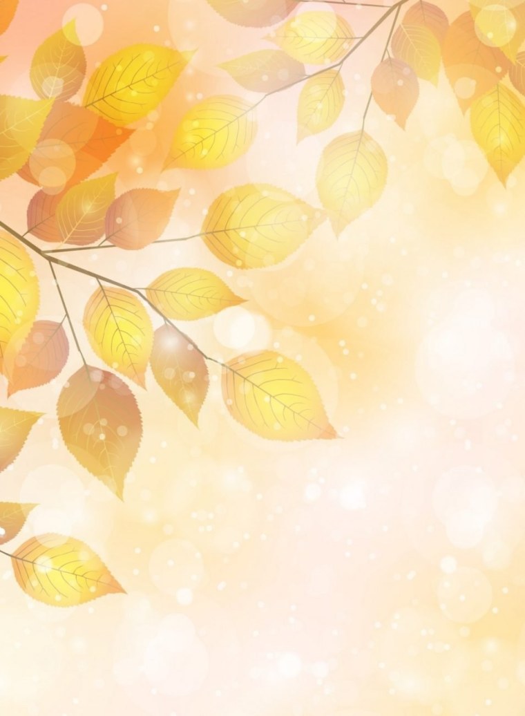 Осенний фон для объявления