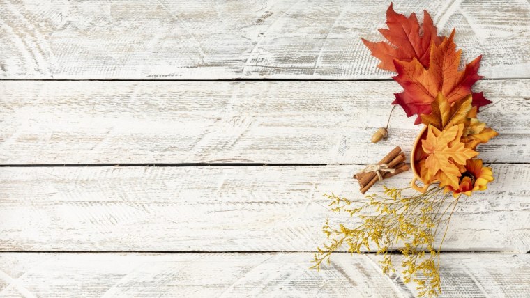 День знаний