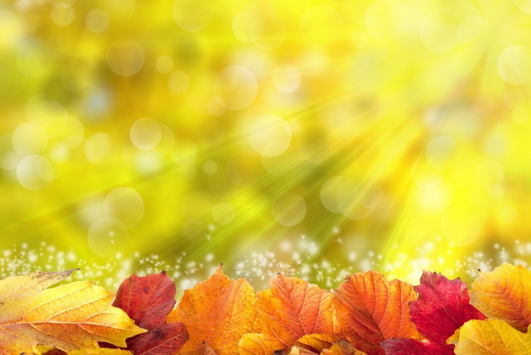 Приметы осени