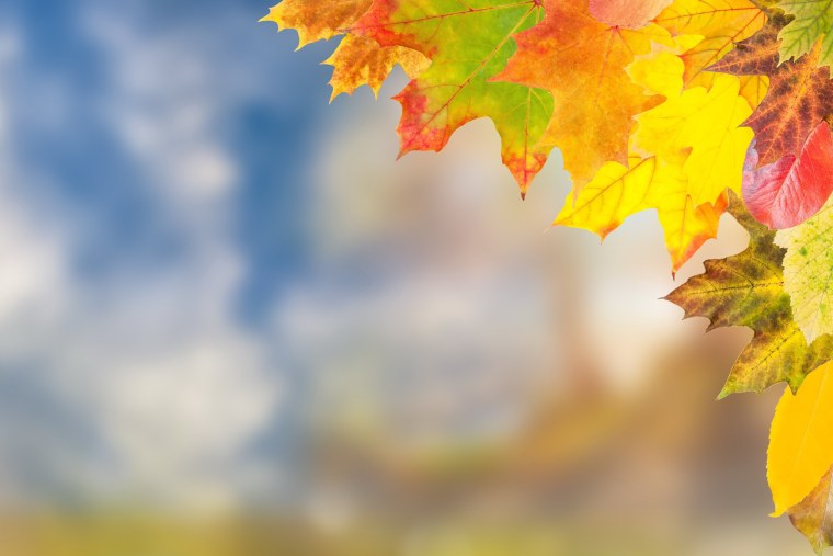 Фон осень светлый