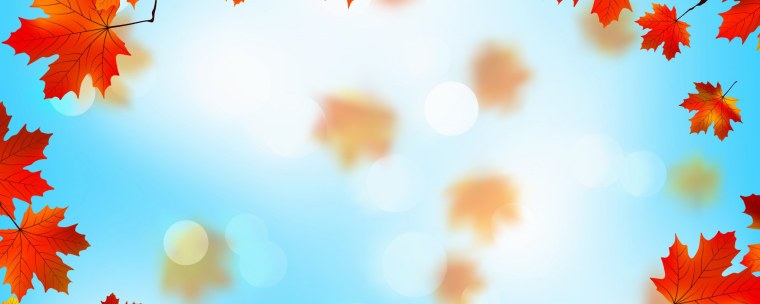 Осень Эстетика