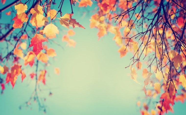 Фон для презентации осень