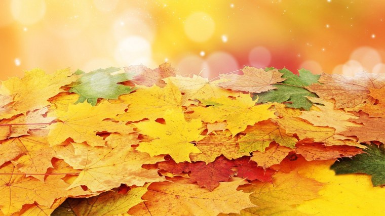 Фон для презентации школа