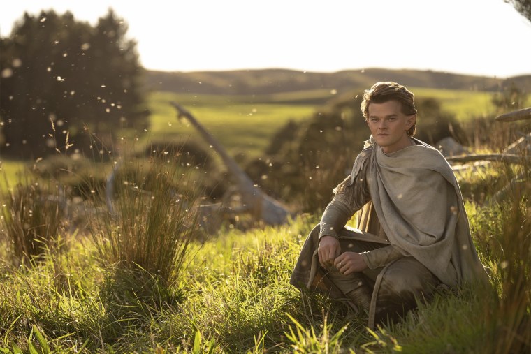 Властелин колец братство кольца фильм 2022