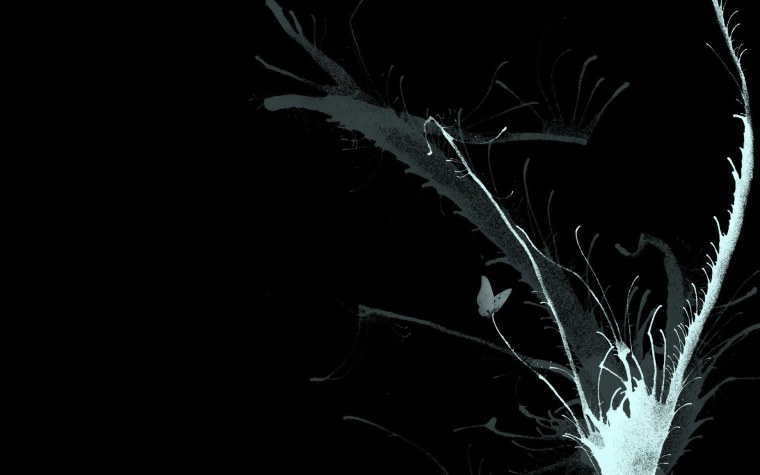 Необычные черные обои