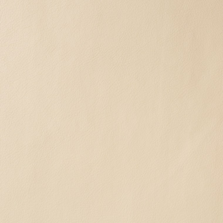 Светло бежевый фон однотонный