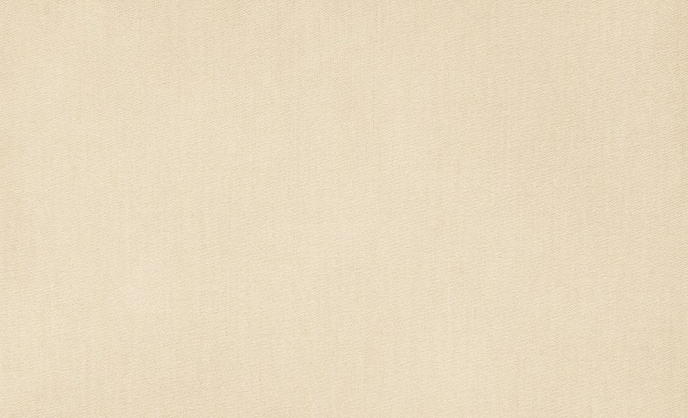 Светло бежевый фон однотонный