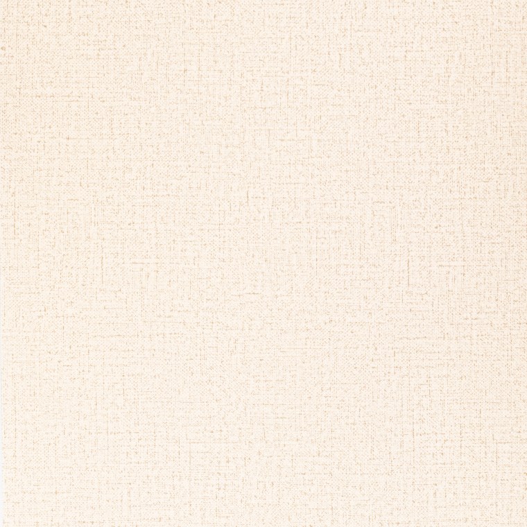 Acczent Pro aspect 2