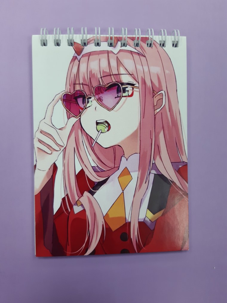 Блокнот милый во Франксе