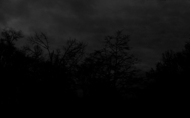 Депрессивный темный лес