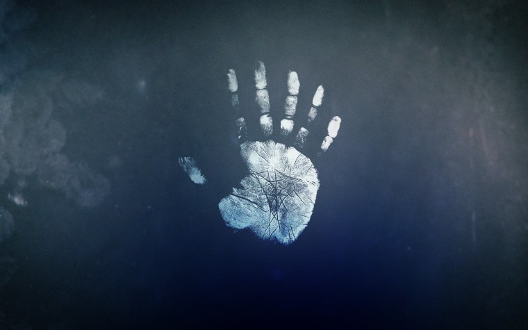 Отпечаток ладони