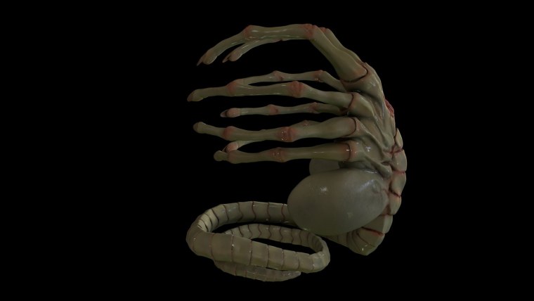 Чужой Ксеноморф Эволюция