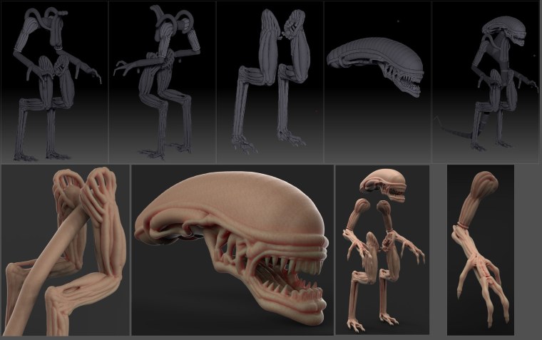Ксеноморф мульт