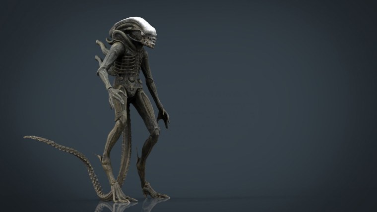 Цикл развития ксеноморфа