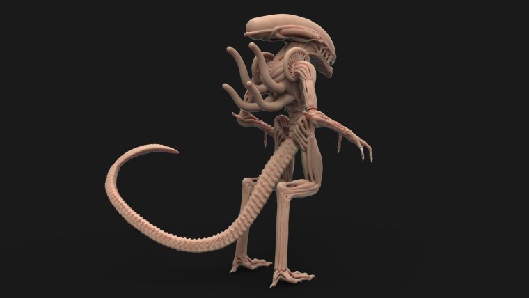 Ксеноморф самка Королева