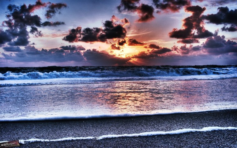 Пальмы на закате