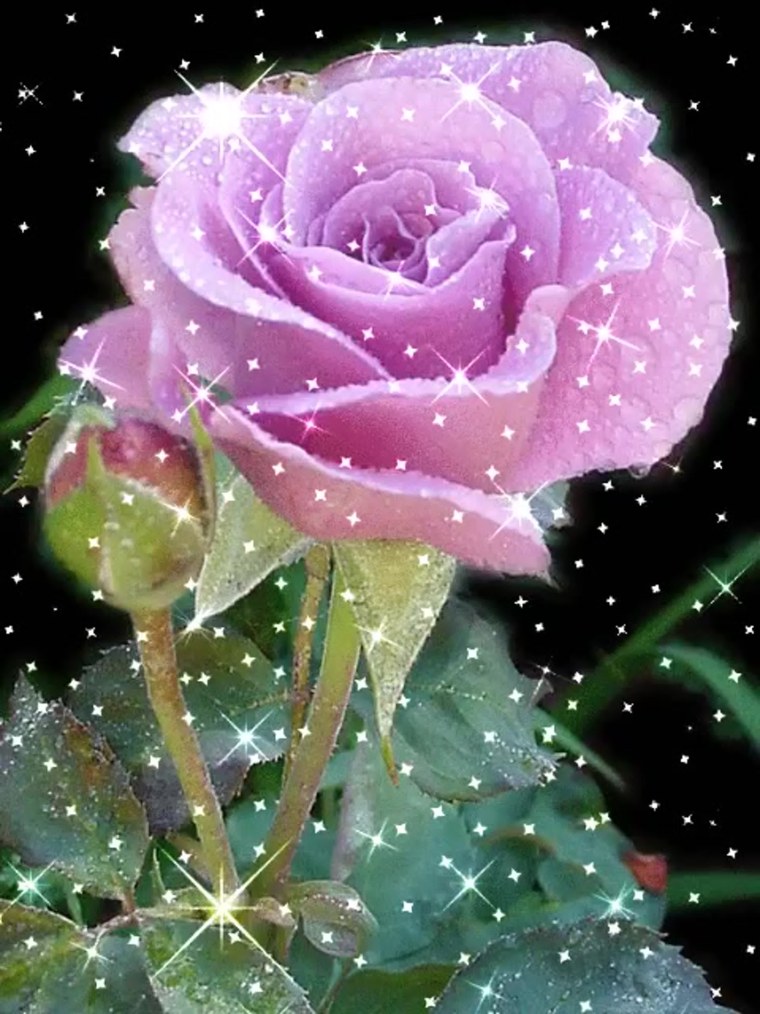 Блестящие цветы