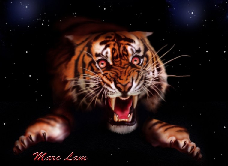 Анимированные животные на рабочий стол