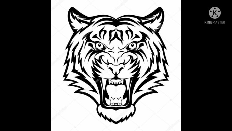 Тигр векторное изображение