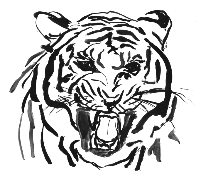 Тигр голова