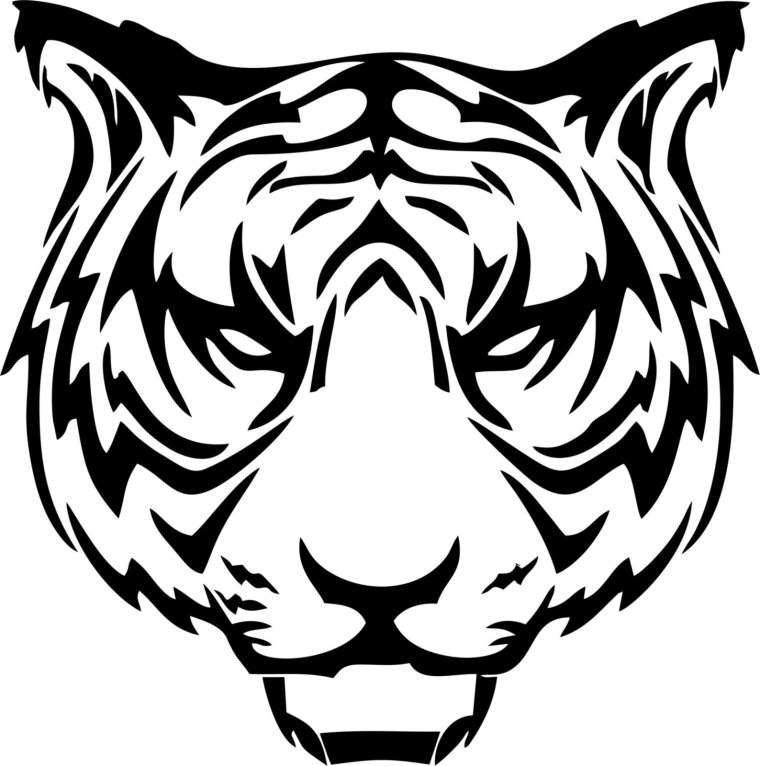 Тигр голова сбоку