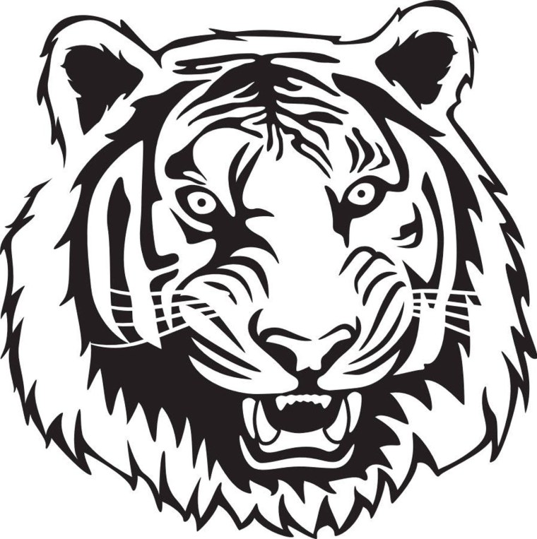 Морда тигра вектор