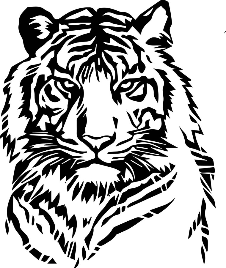 Тигр трафарет
